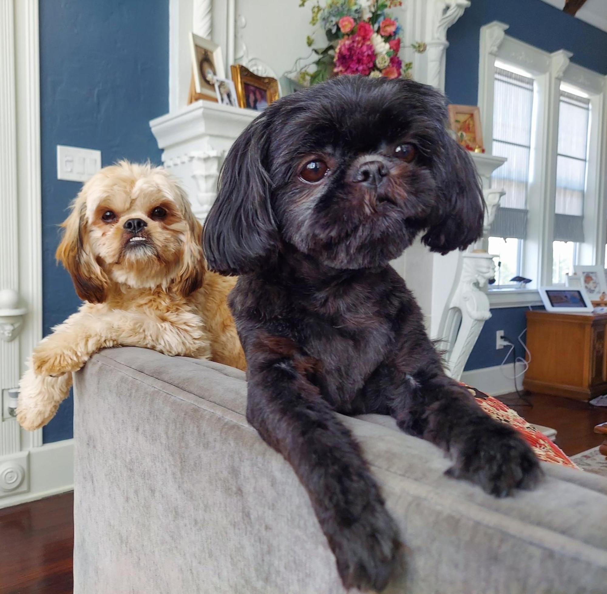 The Kenwood Gables Bed & Breakfast เซนต์ปีเตอร์สเบิร์ก ภายนอก รูปภาพ